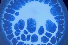 2DCC8B29-2AC5-440E-95BD-F325DBC78C2E